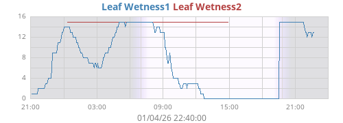 daywetleaf