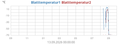 yeartempleaf